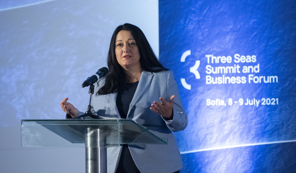 BDB hosted investment panel within Three Seas Forum