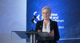 BDB hosted investment panel within Three Seas Forum