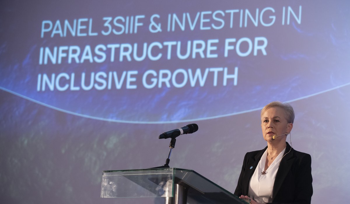 BDB hosted investment panel within Three Seas Forum